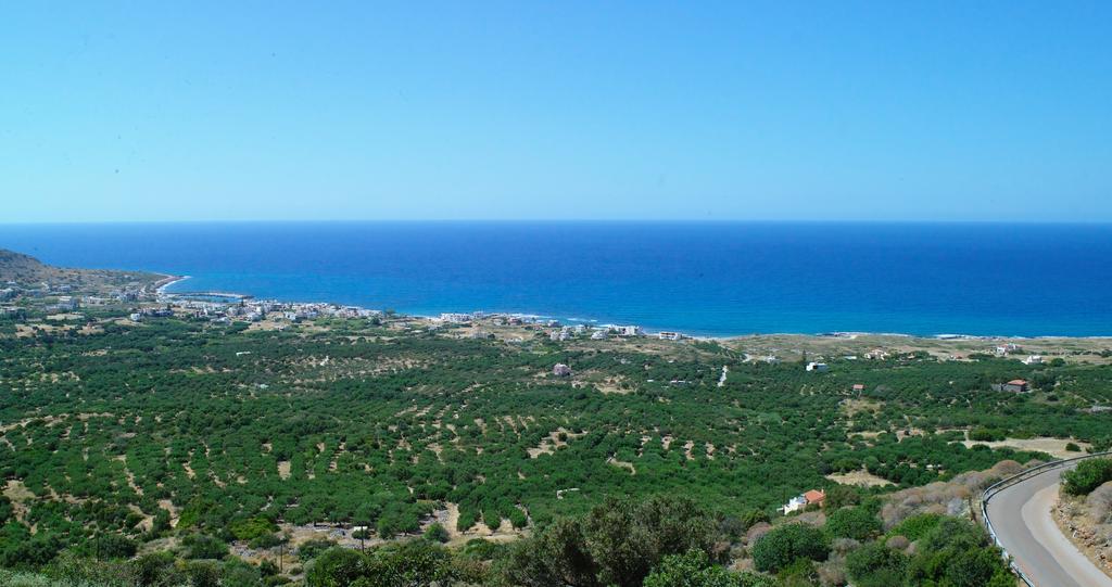 Selena View Studios ماليا المظهر الخارجي الصورة